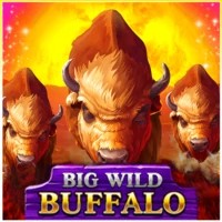 game logo by Belatra Games on irisscasino.de